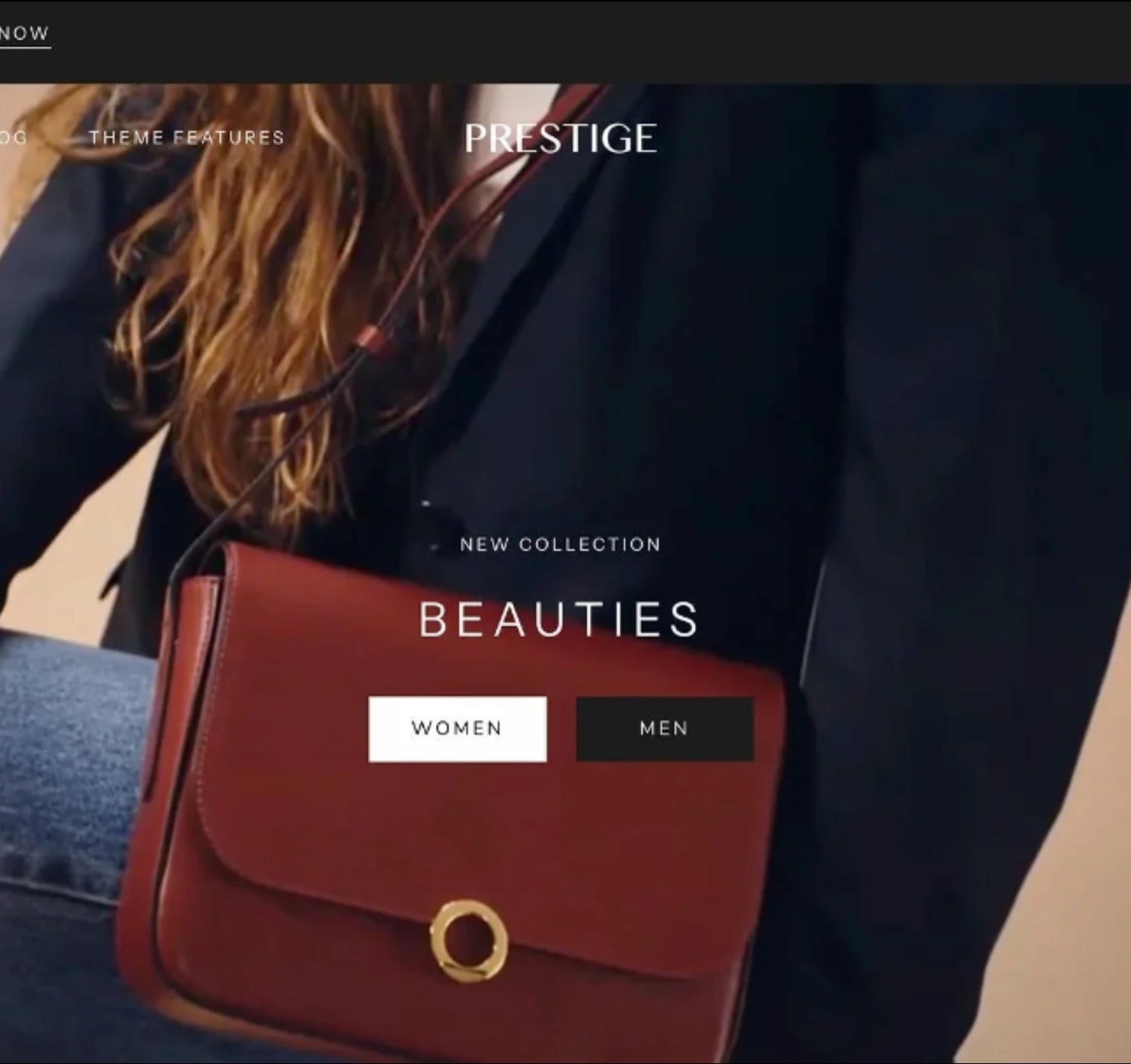 Theme Prestige Shopify - Premium Theme