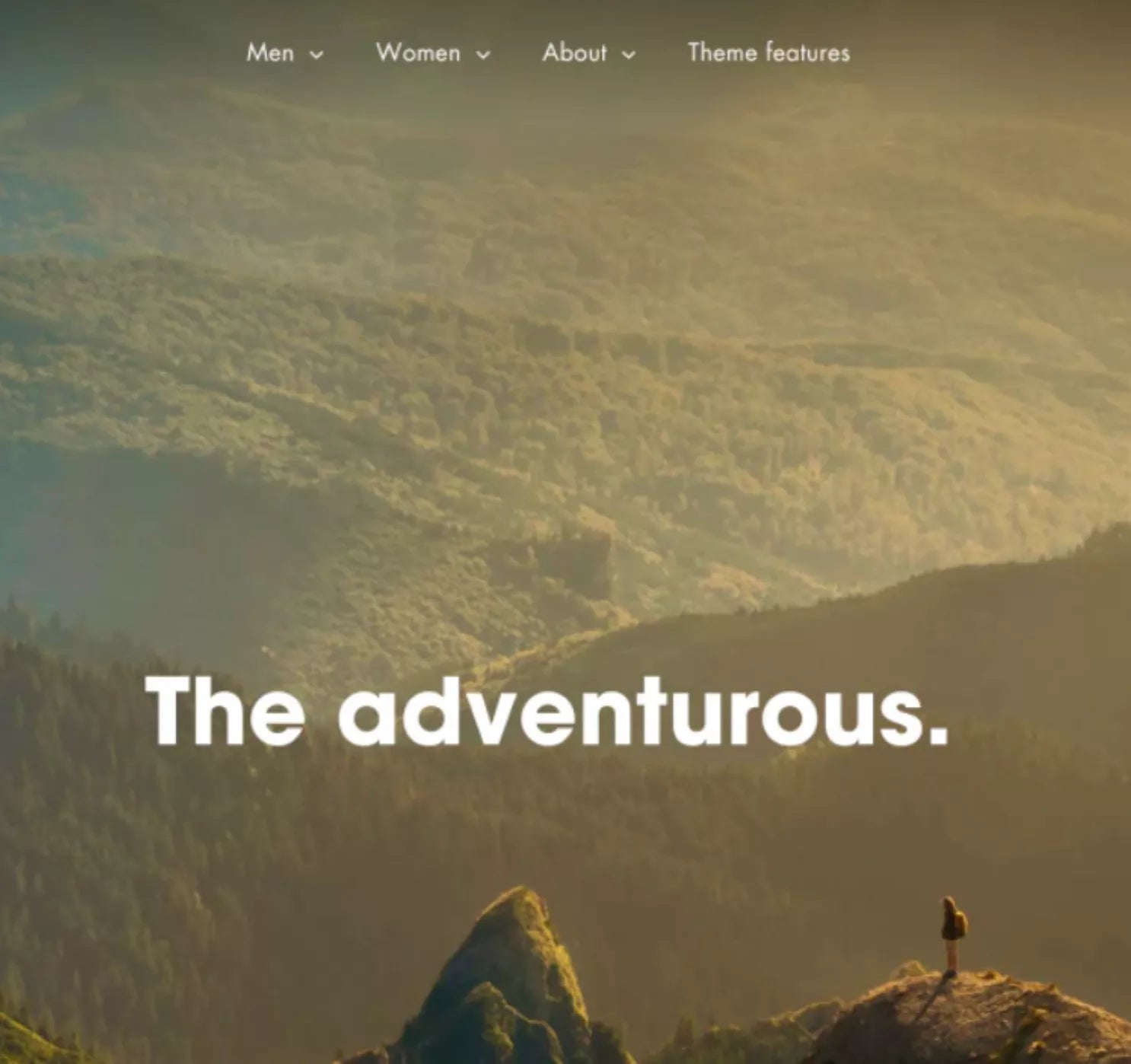 Theme Motion Shopify - Premium Theme